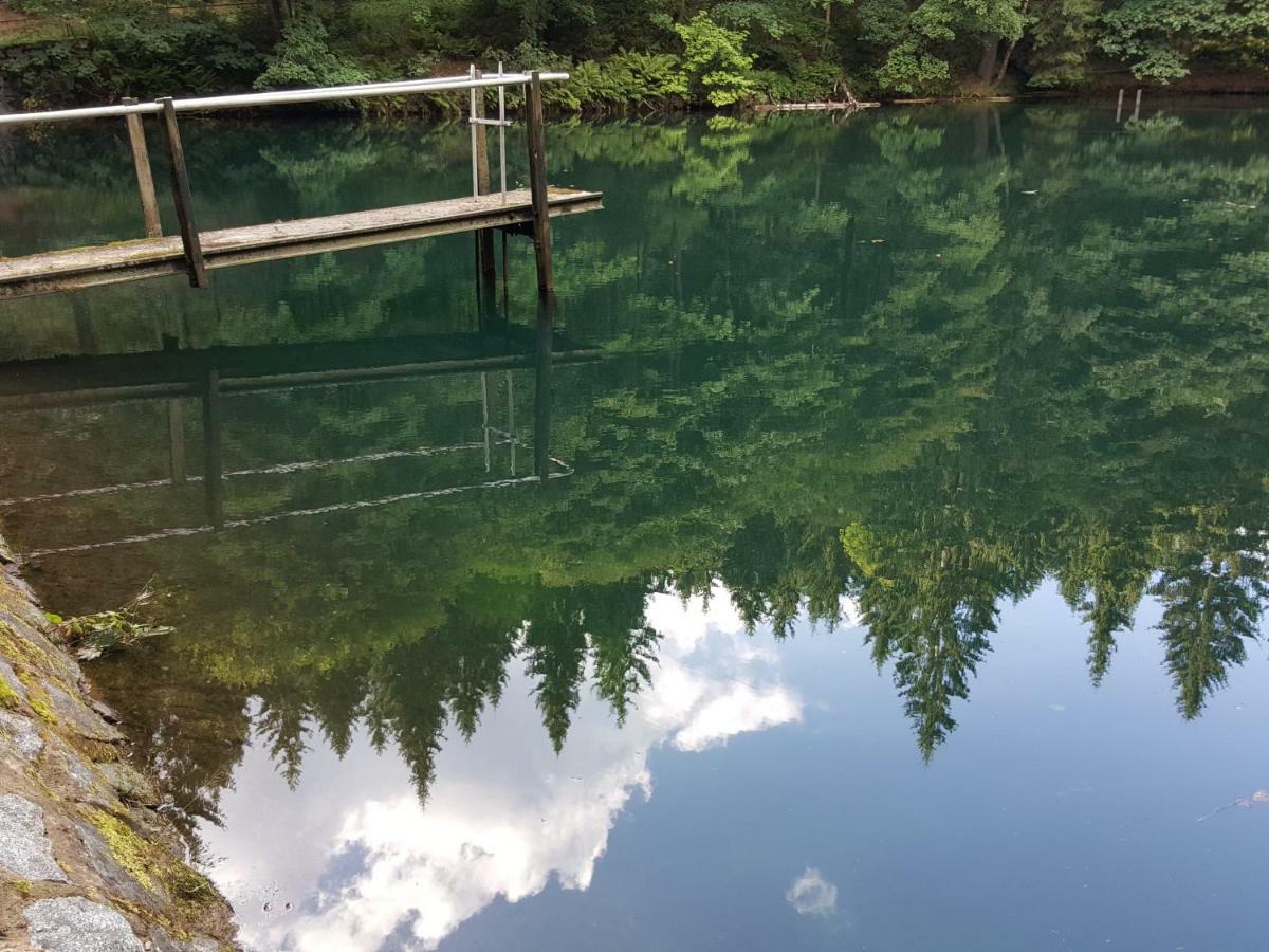 Ferienhaus Am Kirchberg Kurort Steinbach-Hallenberg Dış mekan fotoğraf